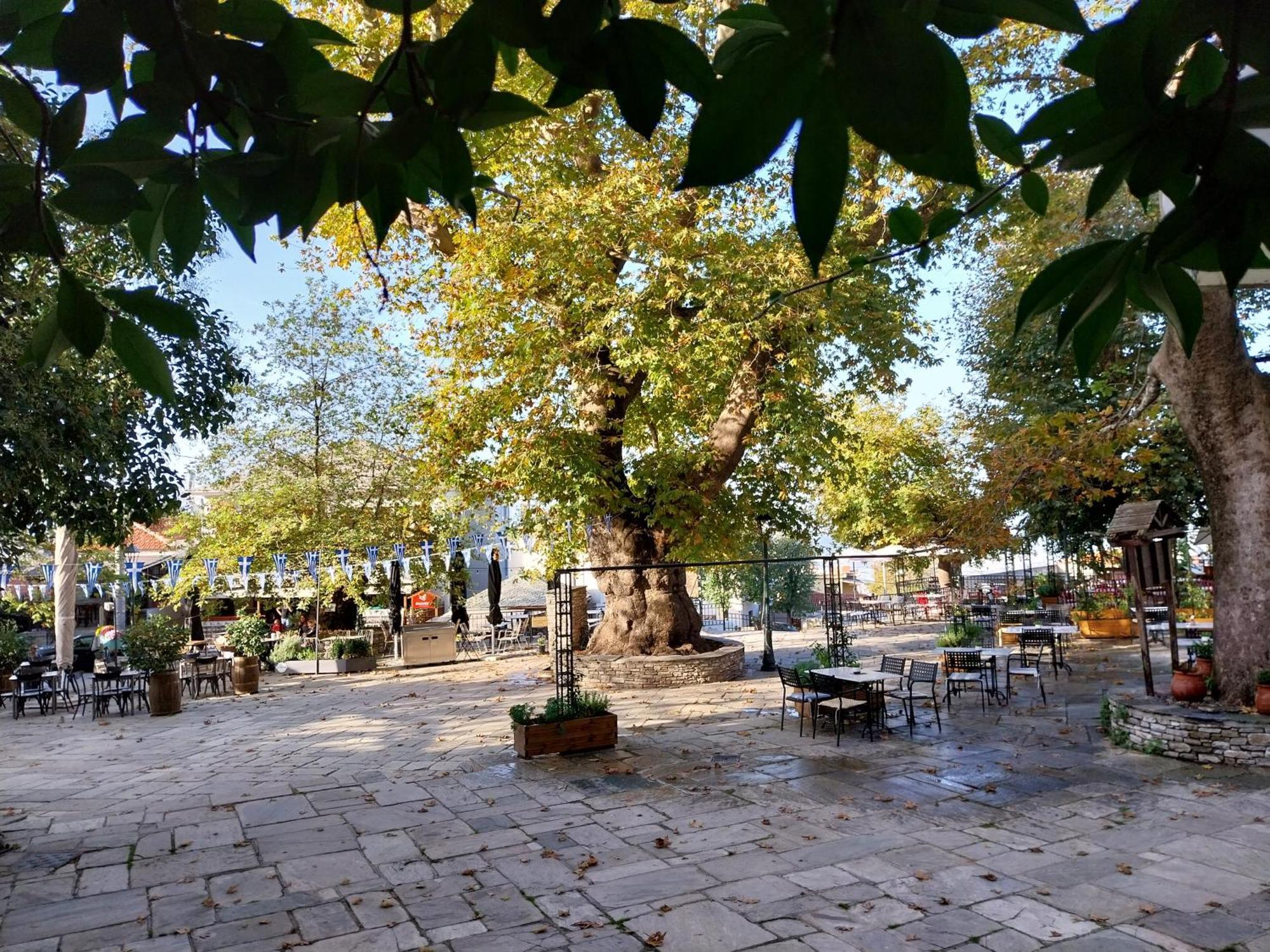 Marousos Central Guesthouse Portaria  Bagian luar foto